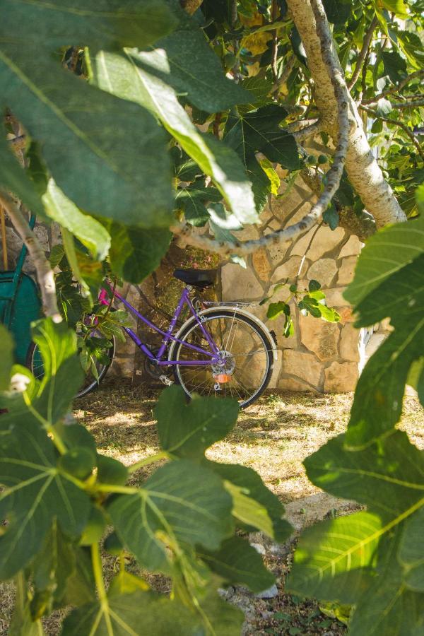 Apartmani Alic Šibenik Екстериор снимка